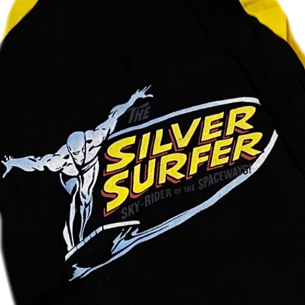 Tee Superhero Silver Surfer